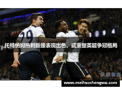 托特纳姆热刺新援表现出色，或重塑英超争冠格局