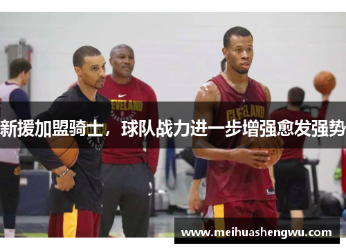 新援加盟骑士，球队战力进一步增强愈发强势
