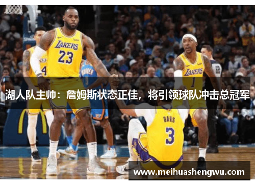 湖人队主帅：詹姆斯状态正佳，将引领球队冲击总冠军